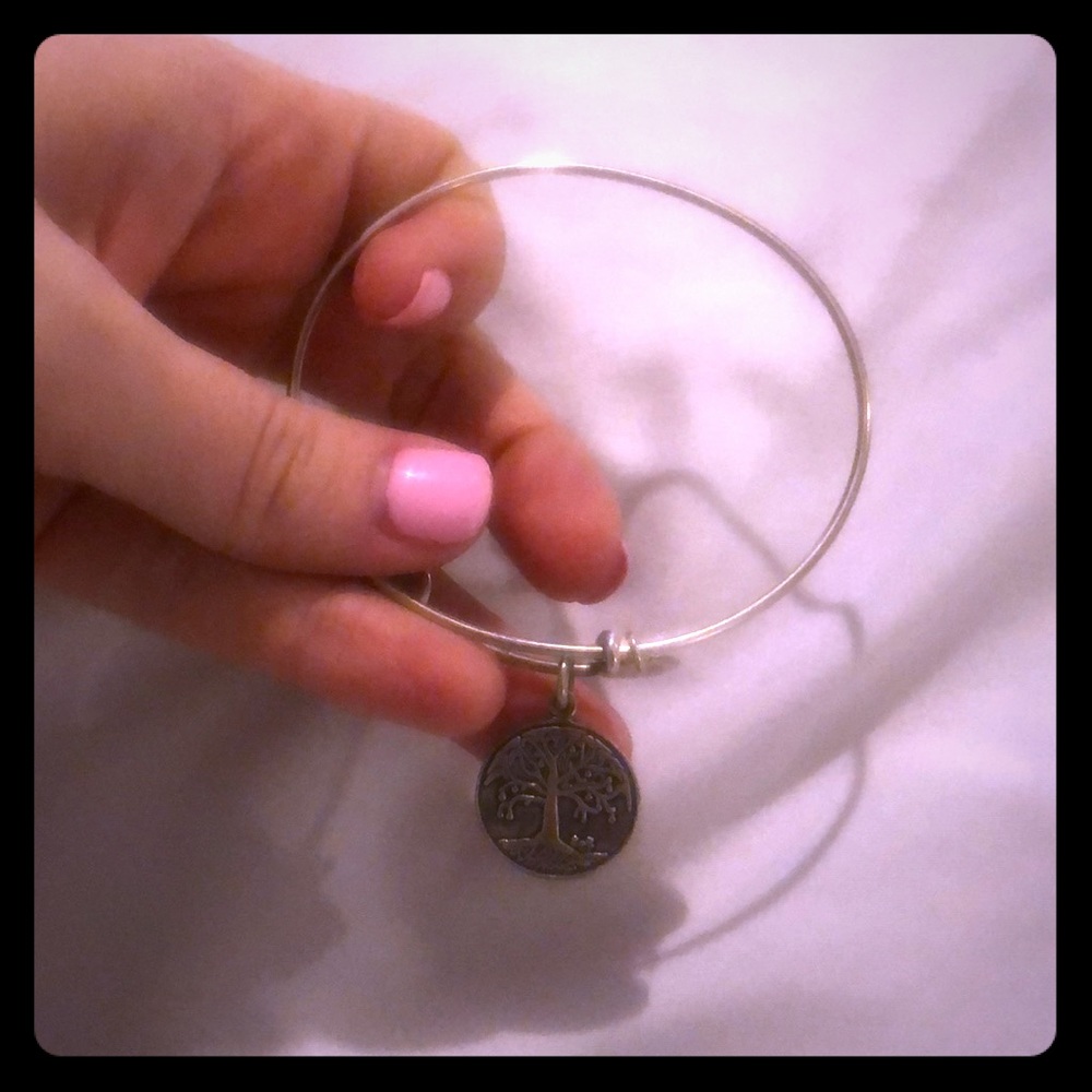 Alex and ani